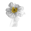 Malla Navidad plateado 52x915cm