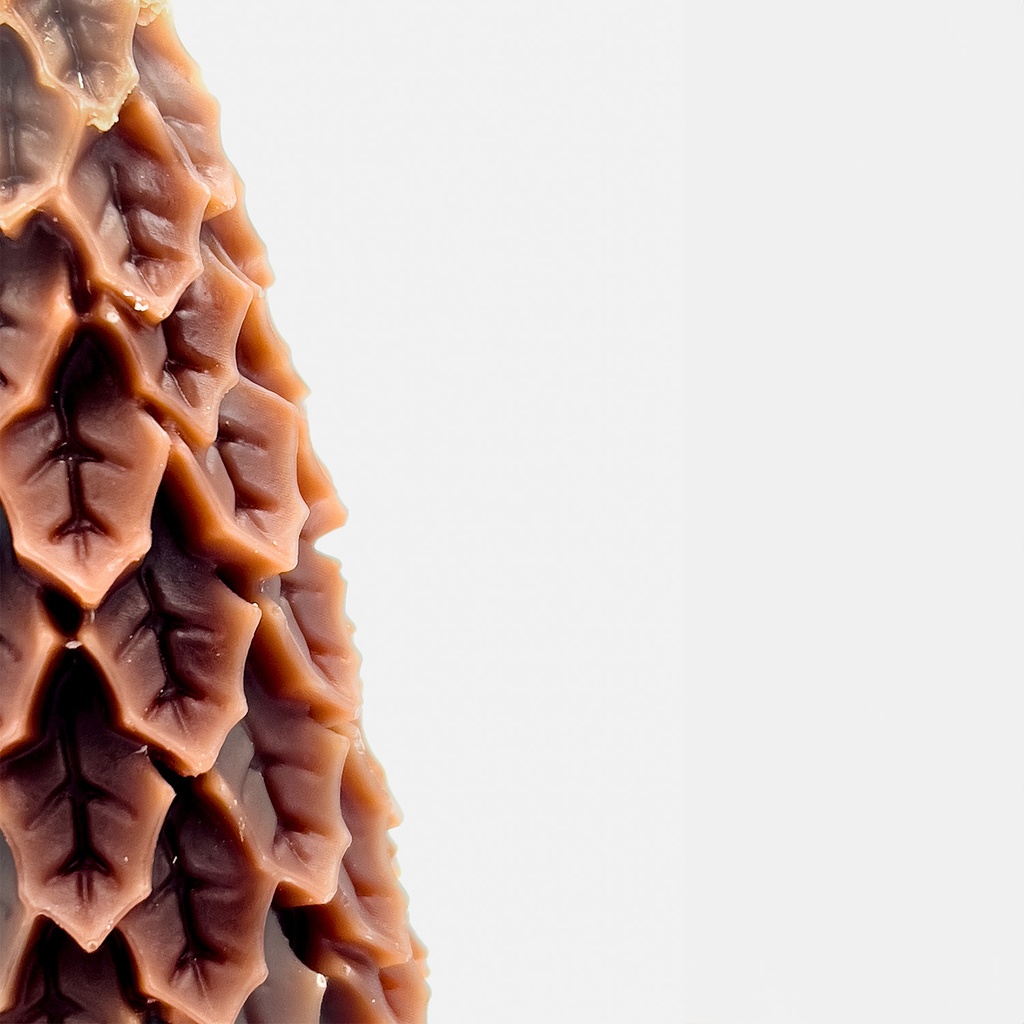 Vela árbol café 6,5x14cm