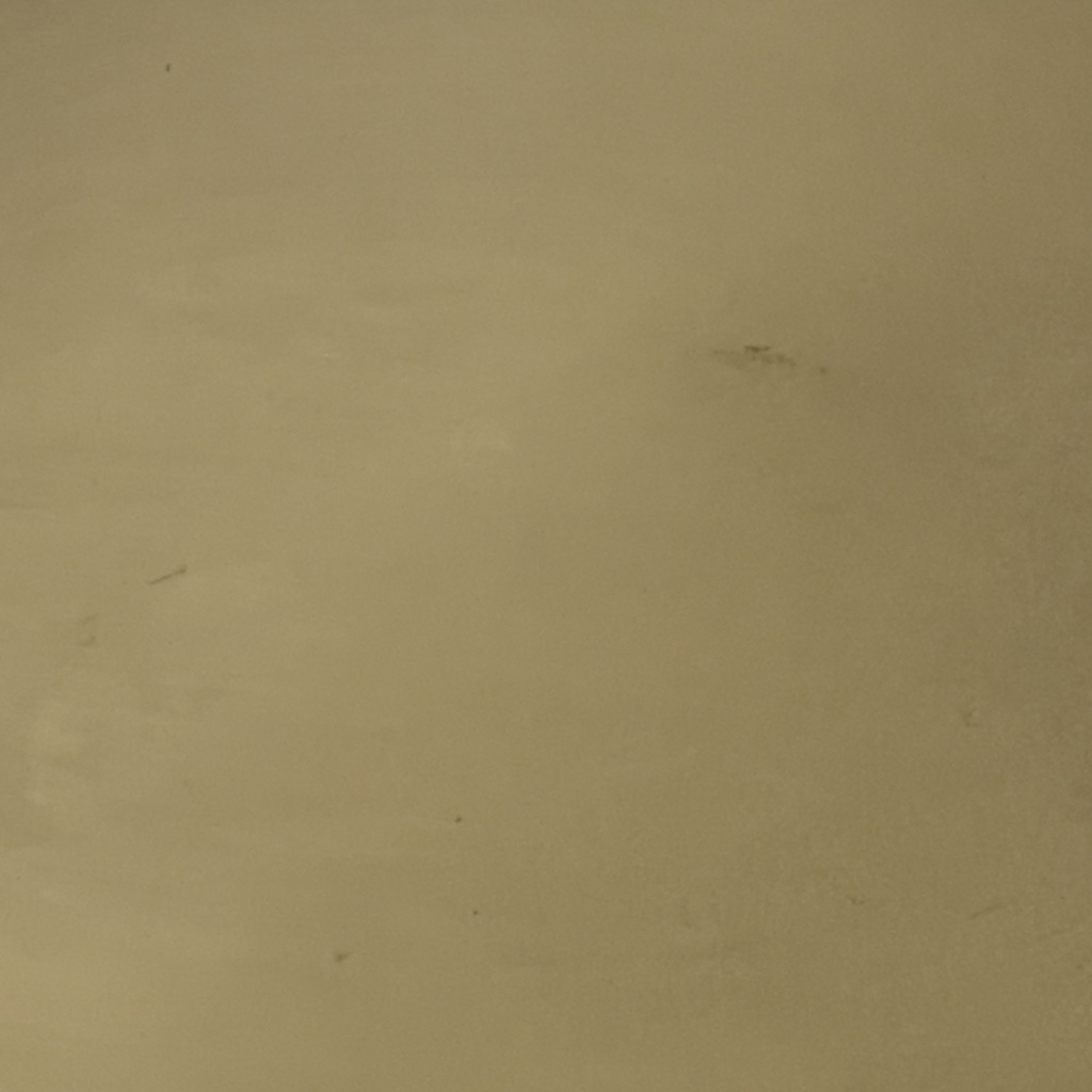 Bandeja ovalada dorada 23,5x15x1cm