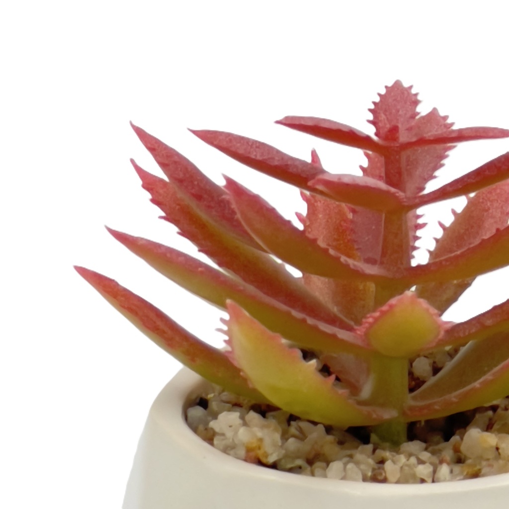 Suculenta rosada base prisma 8,5cm