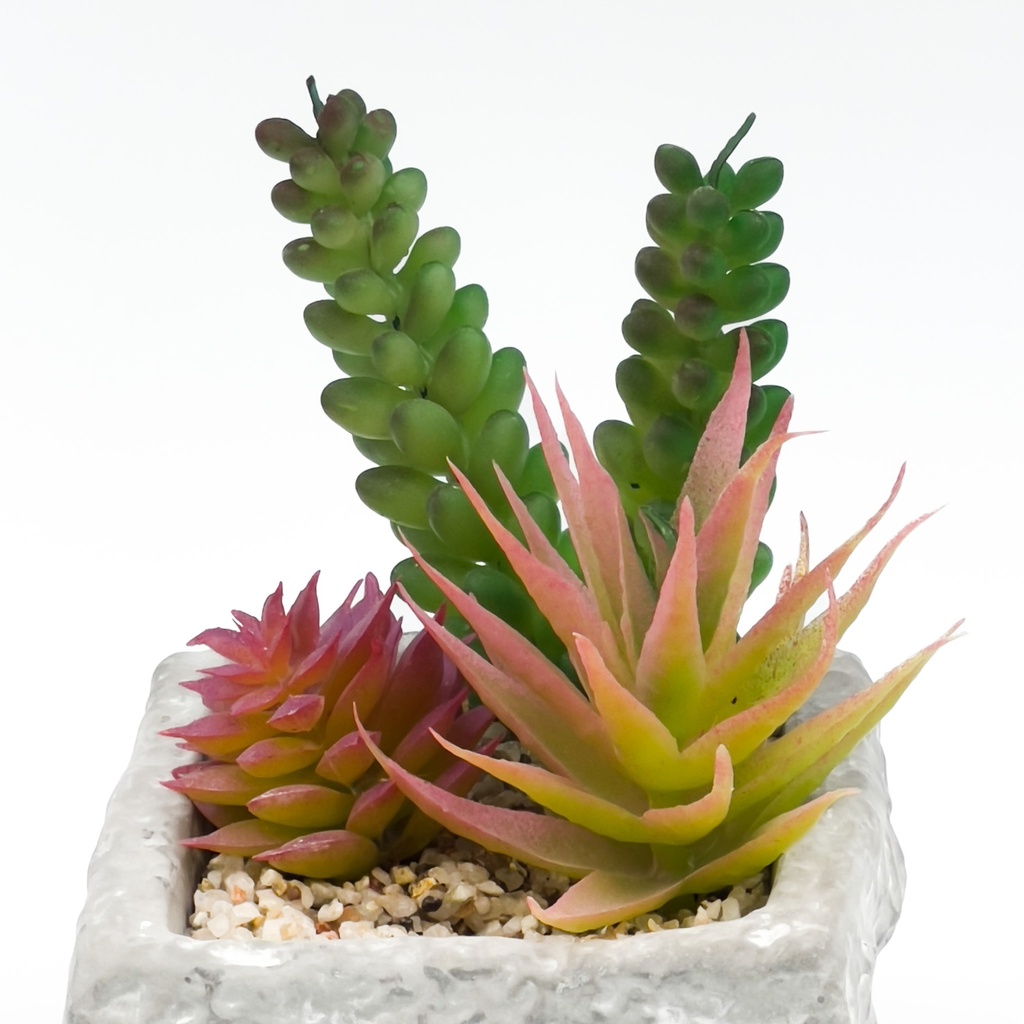 Suculenta mix base piedra 13,2cm