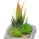 Suculenta mix base piedra 13,2cm