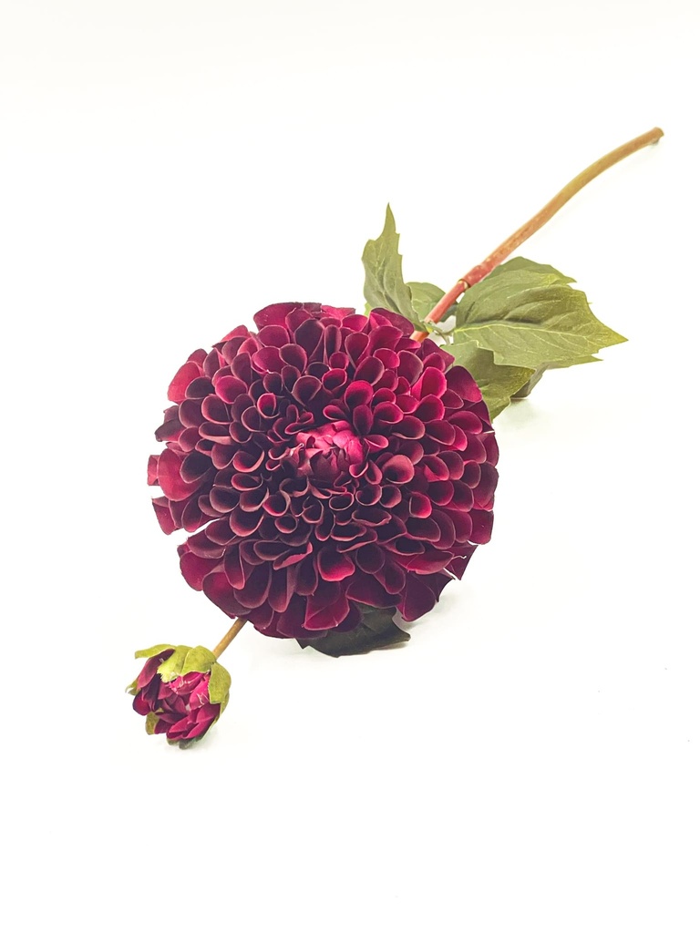 Dalia artificial morada