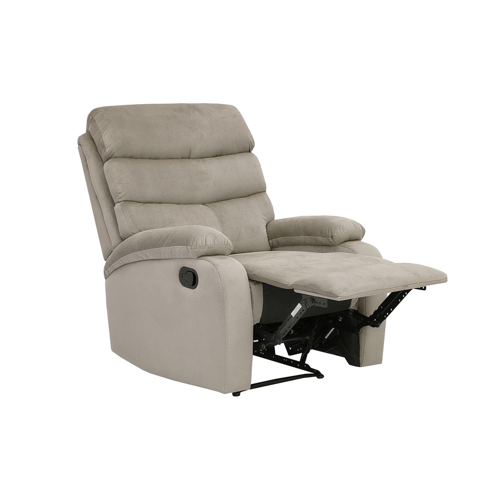 Berger Logan gris claro 