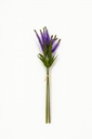 Pasto artificial Lila 43cm