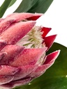 Flor protea artificial M rosada