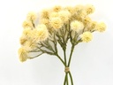 Ramo pompones artificial Beige 31cm