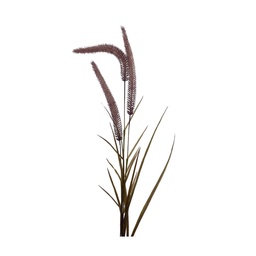 [230030234] Pasto artificial burdeo 85cm