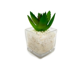 [230033250] Suculenta clara base vidrio 9cm