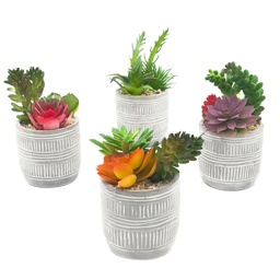 [230033254] Suculenta mix base cemento 18,5cm