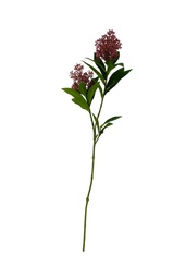 [230035543] Follaje artificial morado